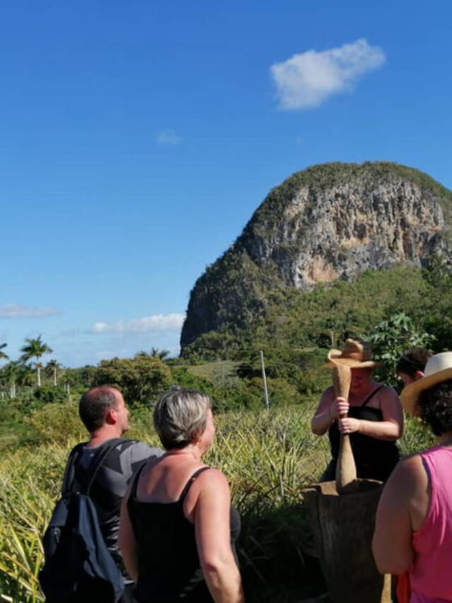cropped-vinales-1